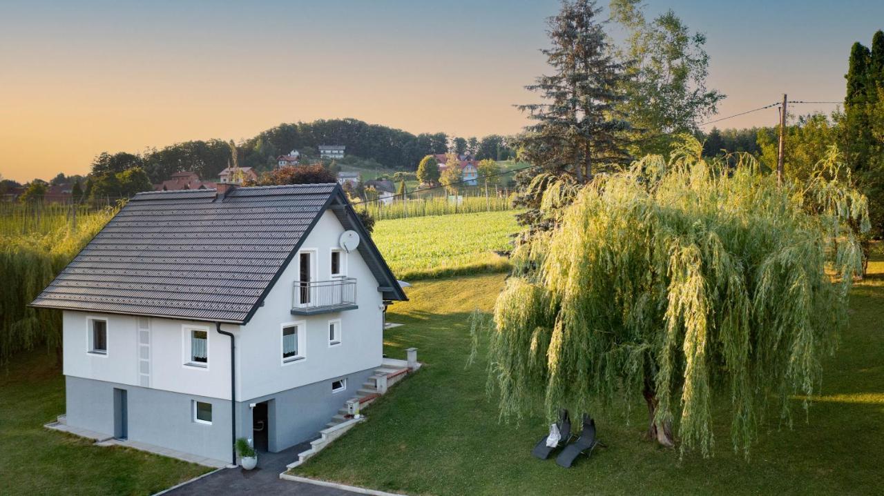 Ferienhaus Treissmann An Der Weinstrasse Leutschach Exterior foto